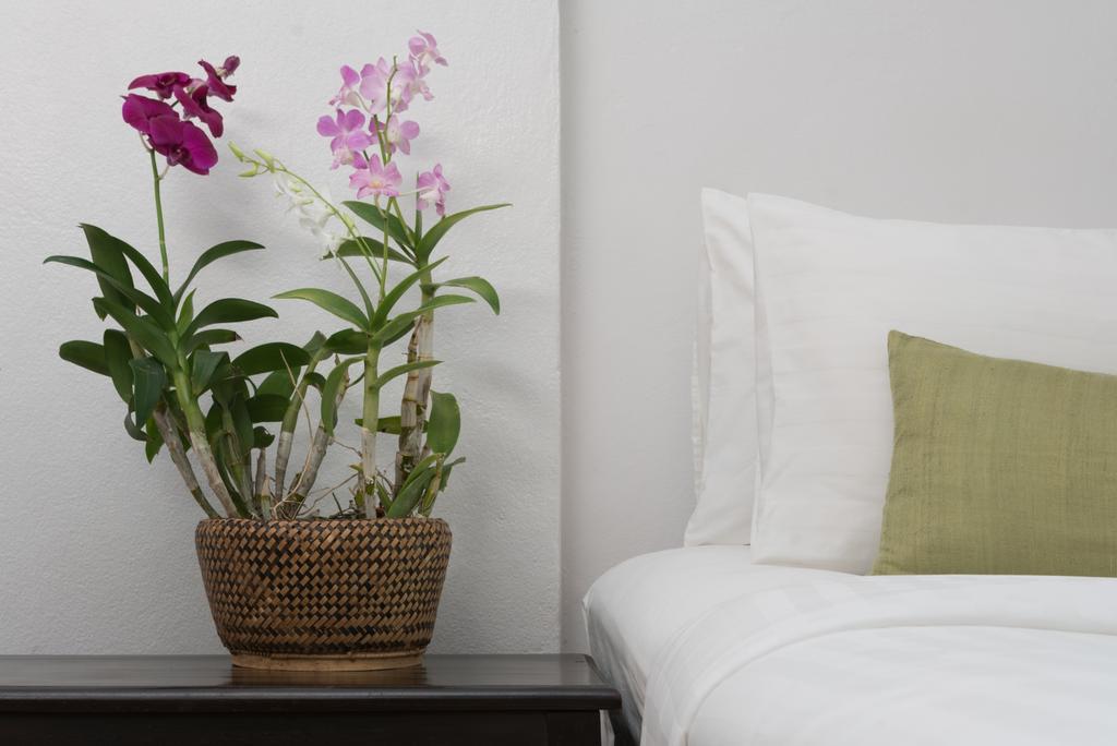 Maison Dalabua Luang Prabang Exteriör bild